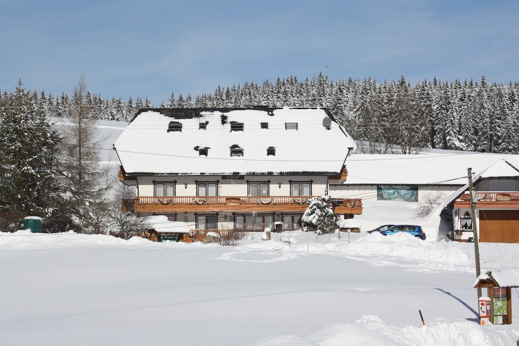 Pension Altvogtshof Айзенбах Екстер'єр фото